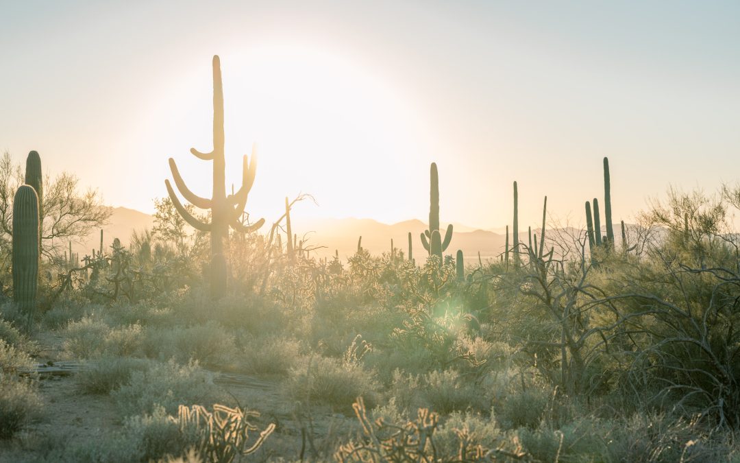 Boost Your Health with Nature Therapy